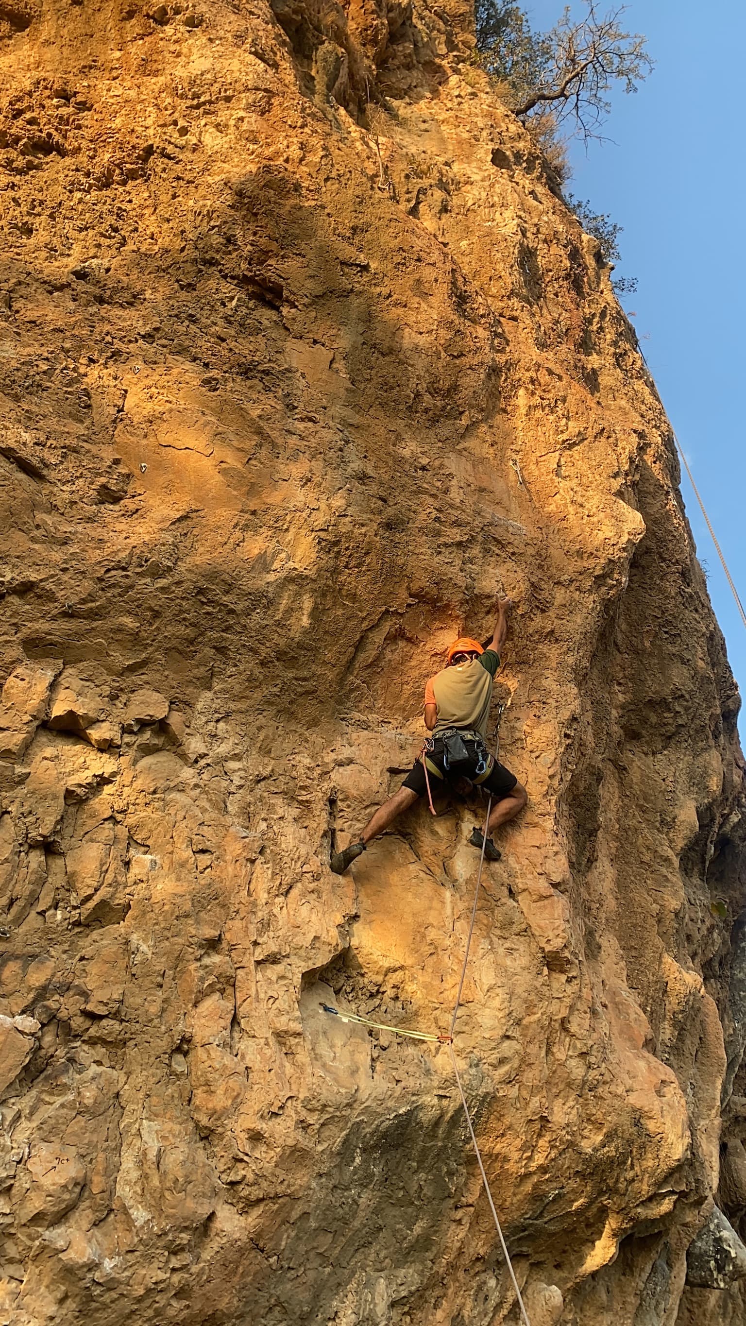 Climbing a golden rock face in an orange helmet