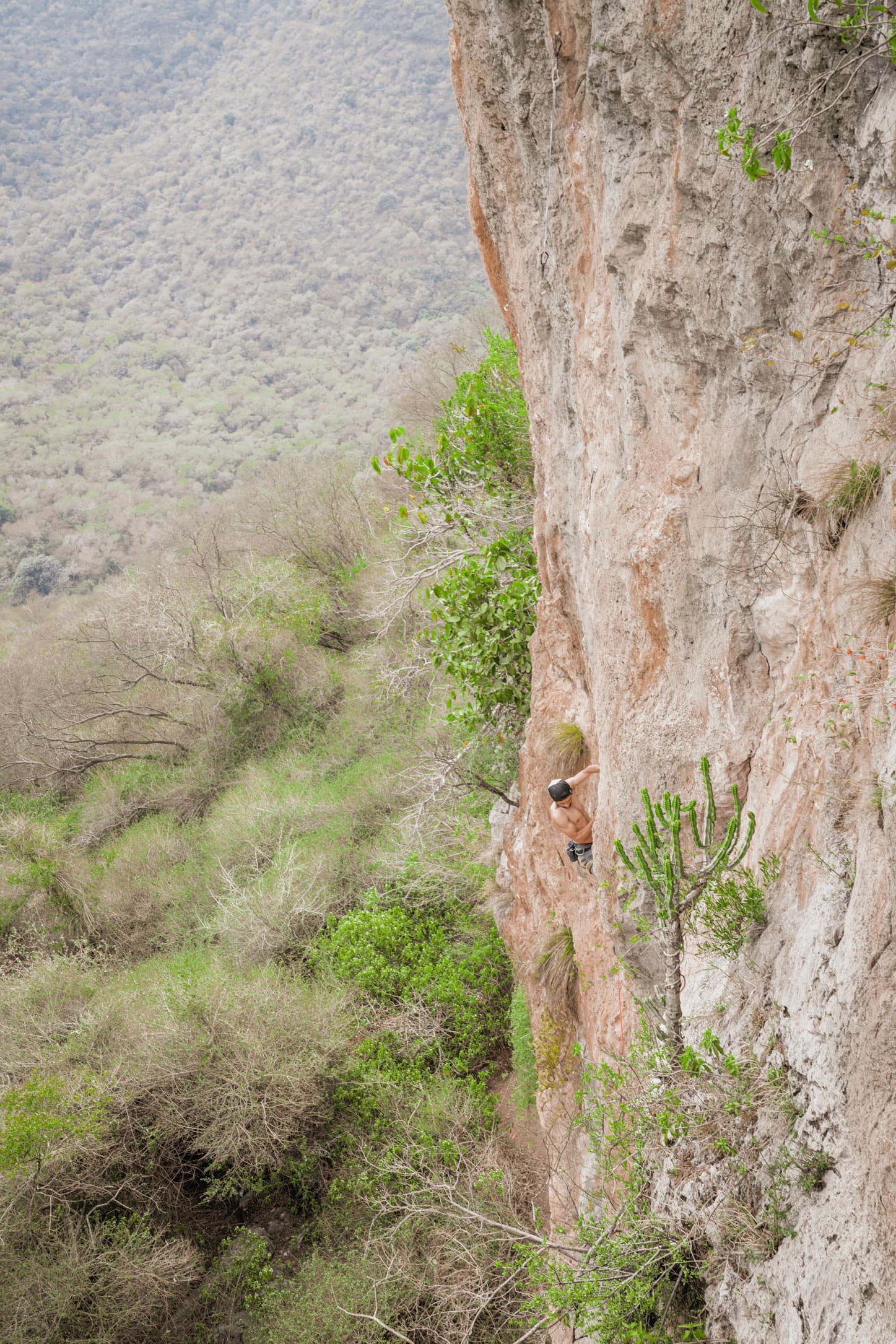 Climbing a pale cliff face above dense valley scrub