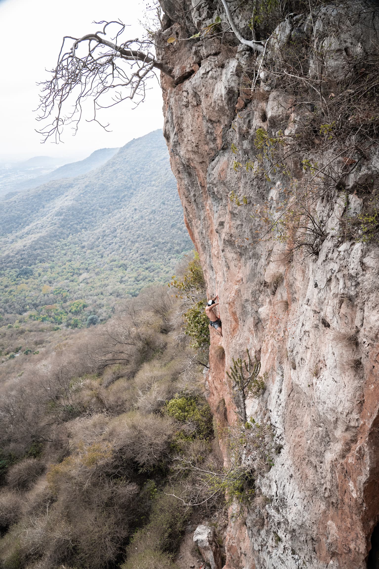 Sunlit rock face climbing above a deep valley